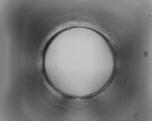 X0000097631503200803211756