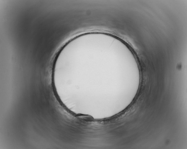 X0000097631504200803211756