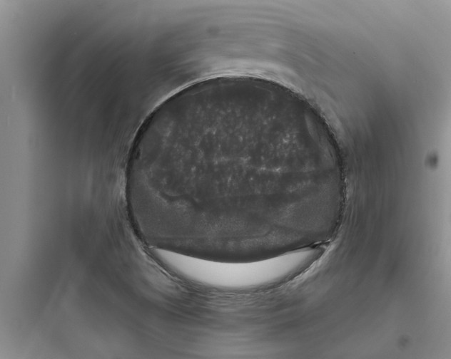 X0000097631505200803211756