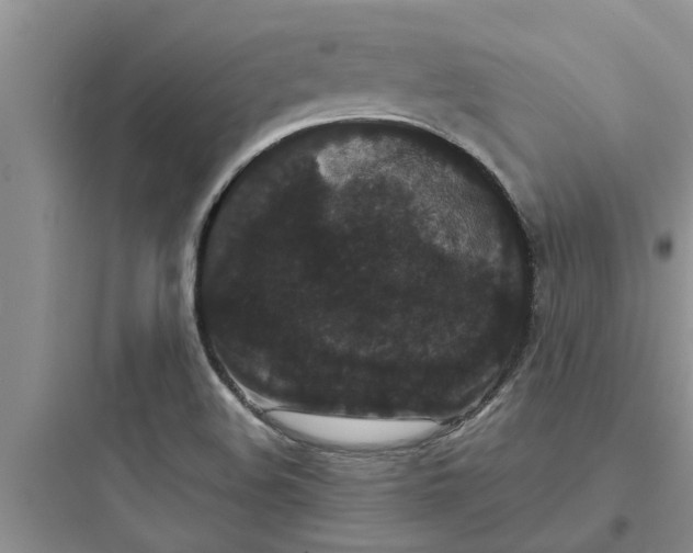 X0000097631508200803211756