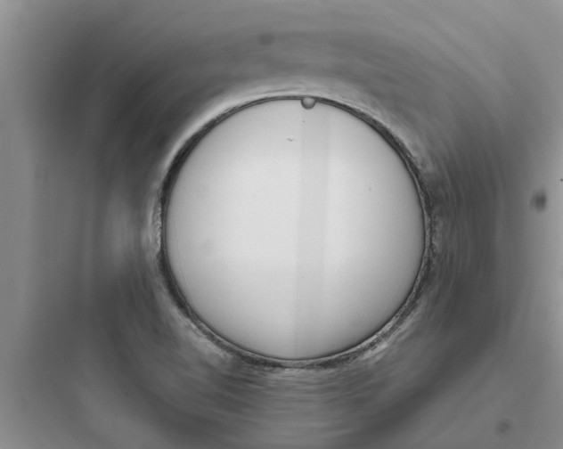 X0000097631510200803211757