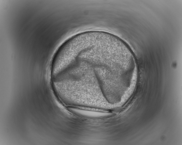 X0000097631511200803211757