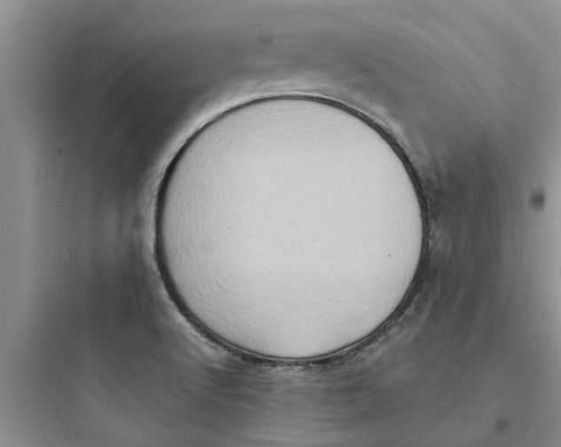 X0000097631512200803211757