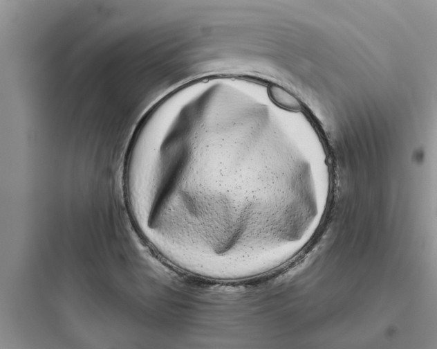 X0000097631513200803211757