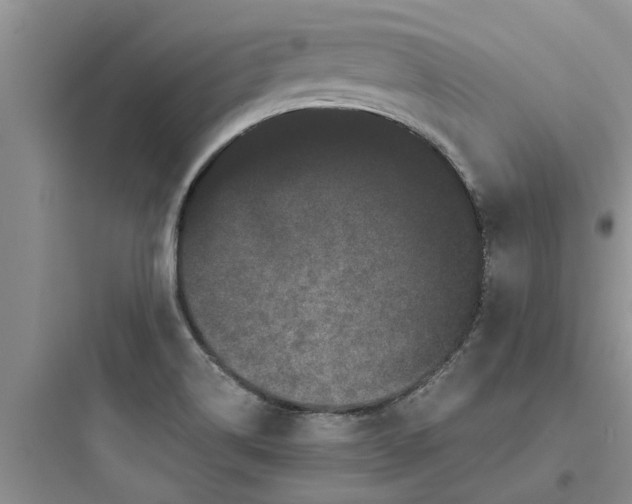 X0000097631514200803211757