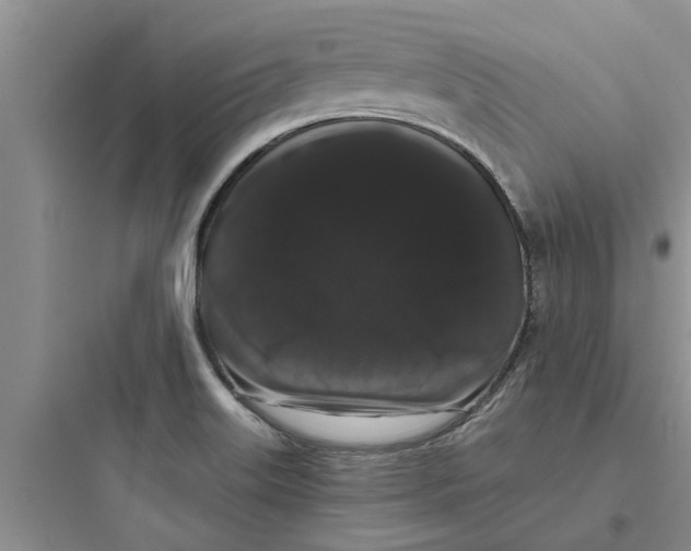 X0000097631515200803211757