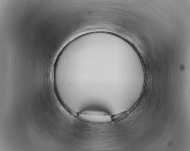 X0000097631516200803211757