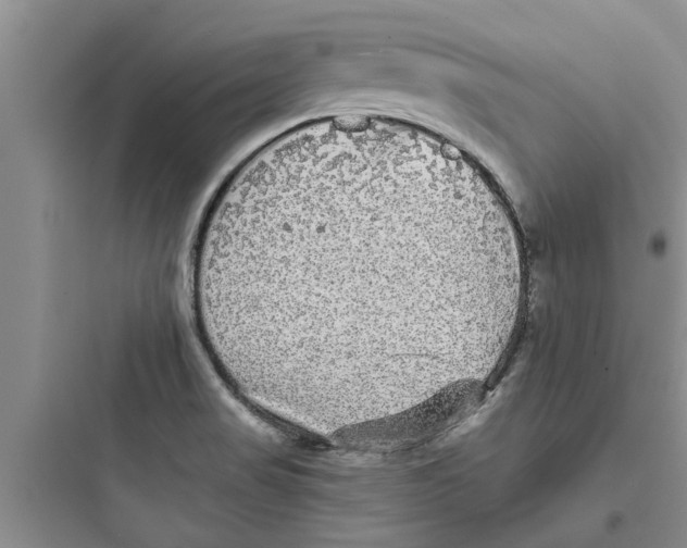 X0000097631517200803211757