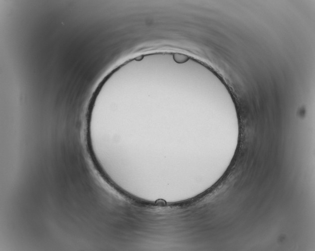 X0000097631518200803211757