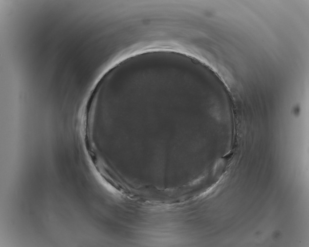 X0000097631519200803211757