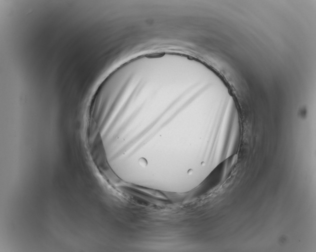 X0000097631520200803211757