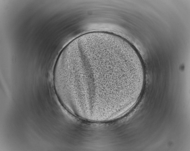 X0000097631521200803211757