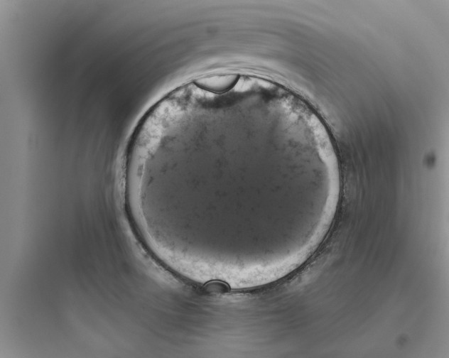 X0000097631522200803211757