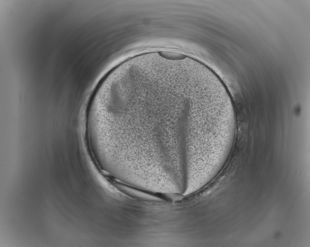 X0000097631523200803211757