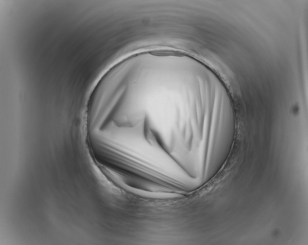 X0000097631524200803211757