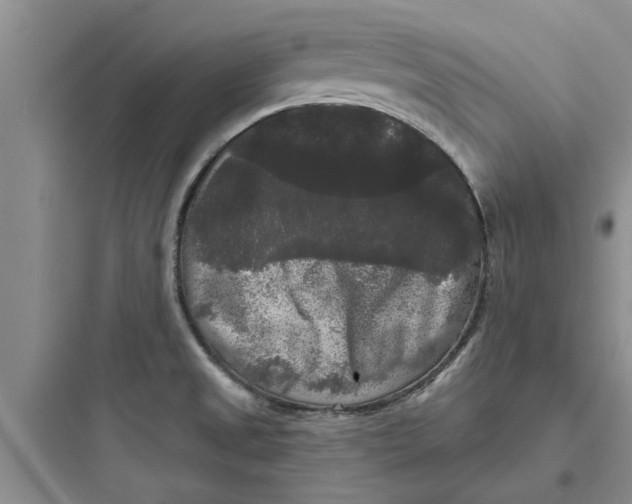 X0000097631525200803211757