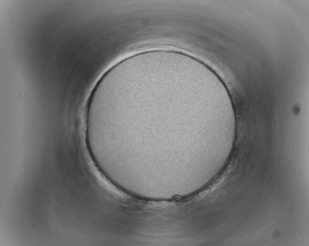 X0000097631526200803211757