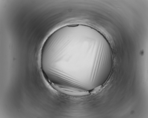 X0000097631528200803211757