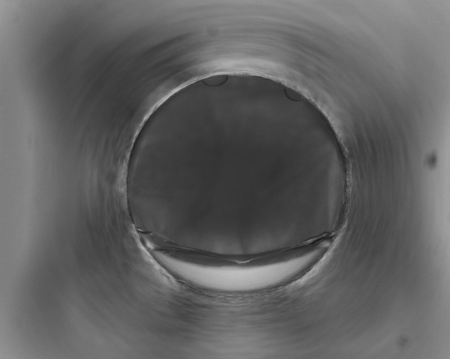 X0000097631529200803211757