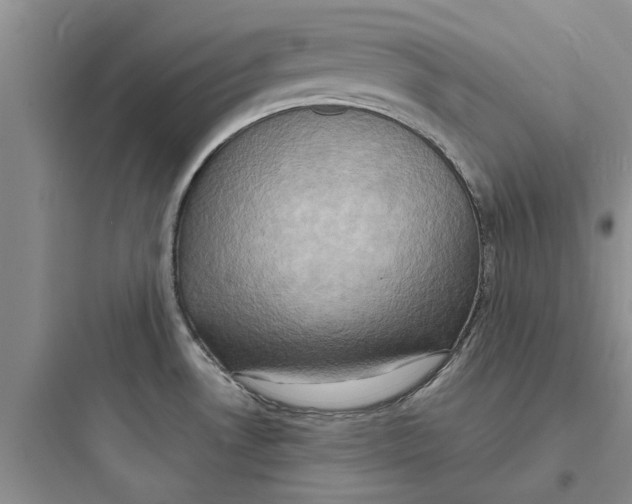 X0000097631530200803211757