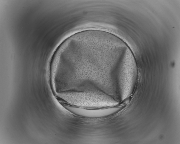 X0000097631531200803211757