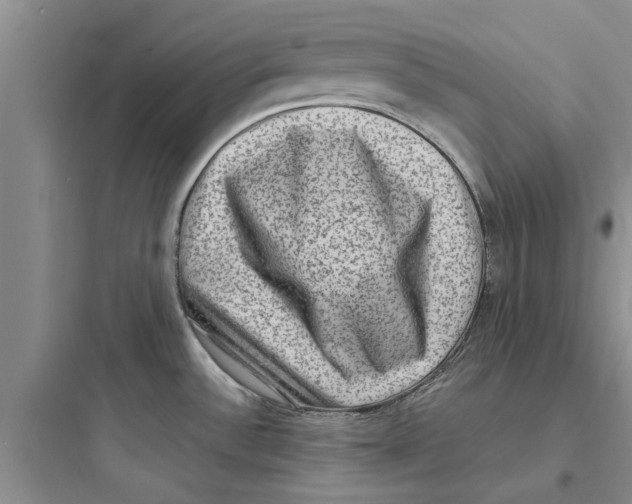 X0000097631532200803211757