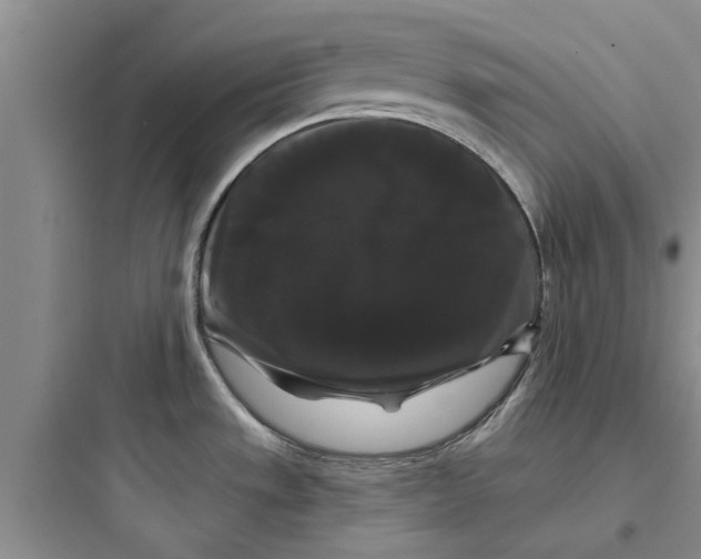 X0000097631533200803211757