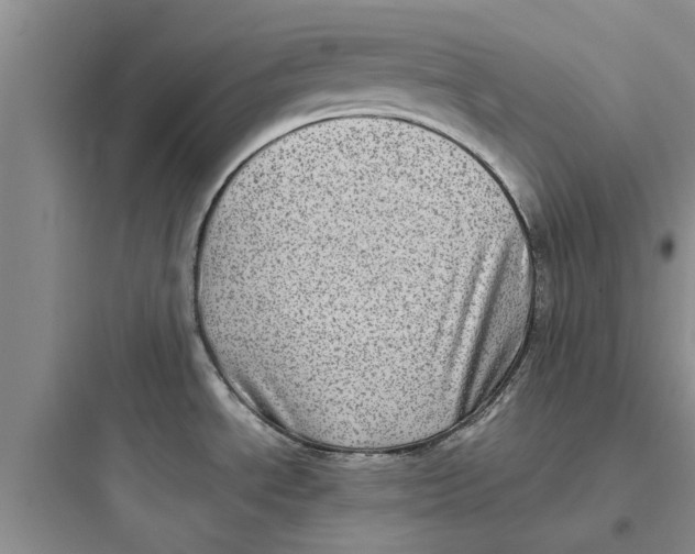 X0000097631534200803211757