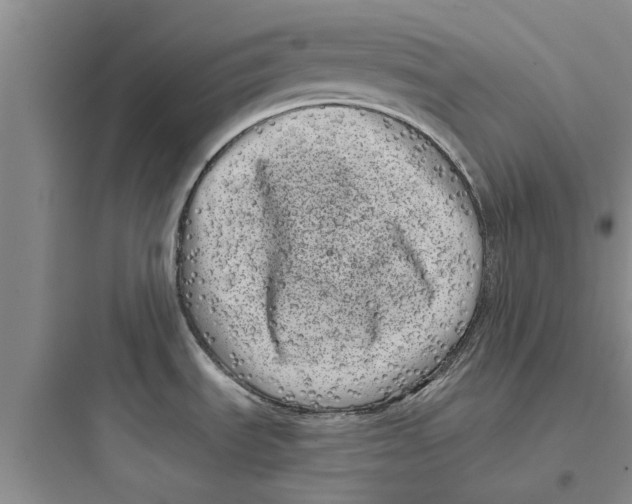 X0000097631535200803211757