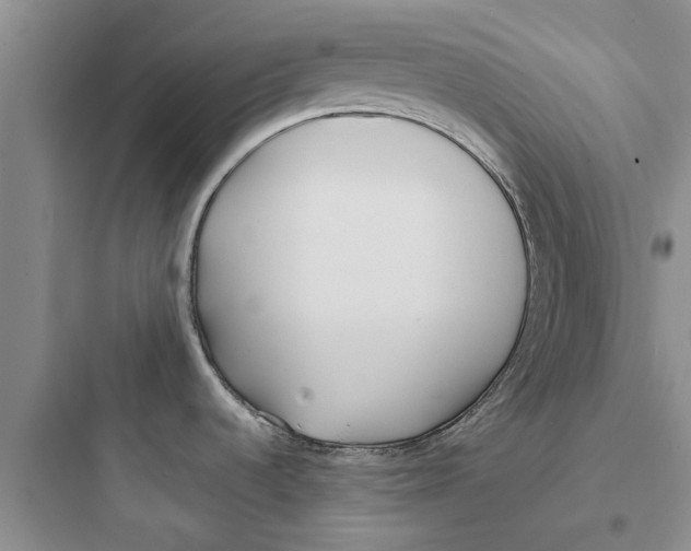 X0000097631536200803211757