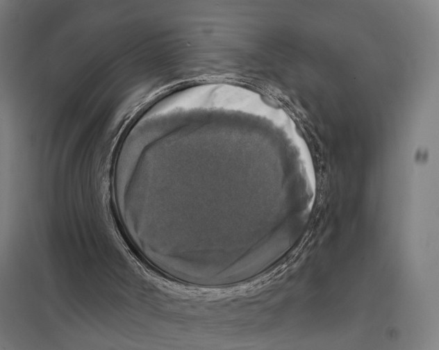 X0000097630002200803281111