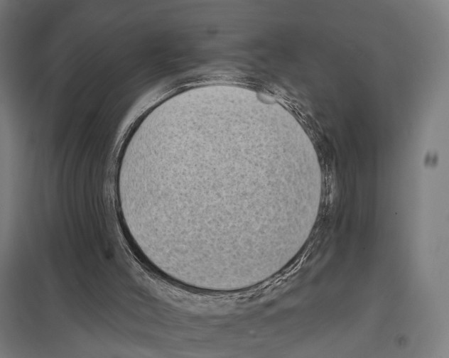 X0000097630004200803281111