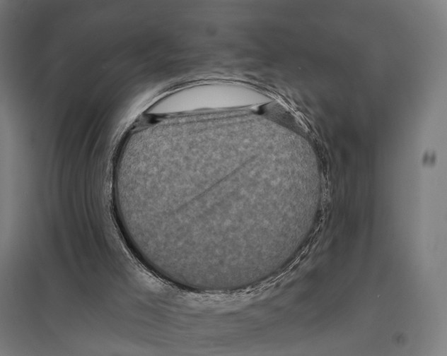 X0000097630005200803281111