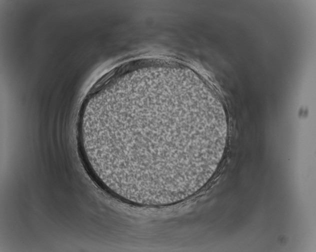 X0000097630007200803281111