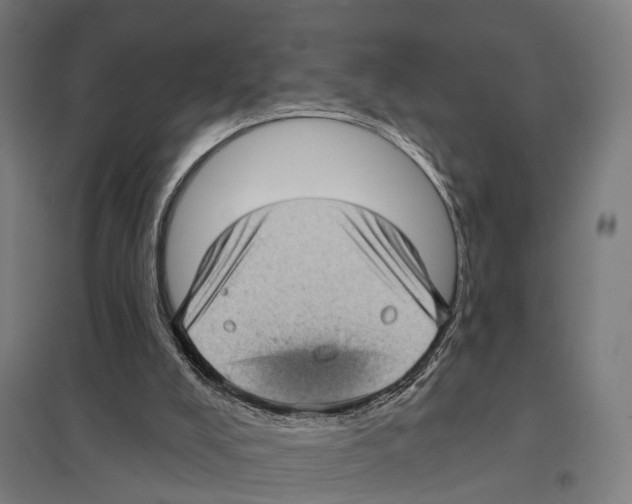 X0000097630008200803281111