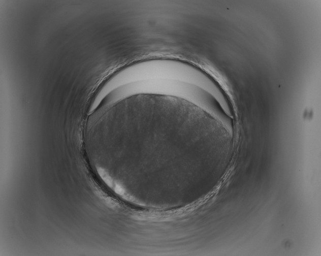 X0000097630009200803281111
