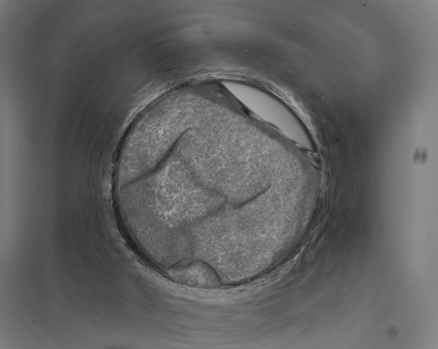 X0000097630010200803281111