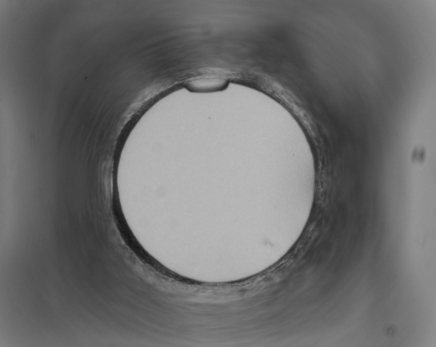 X0000097630011200803281111