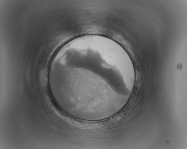 X0000097630012200803281111