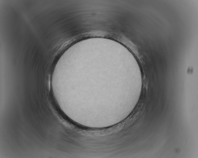X0000097630013200803281111