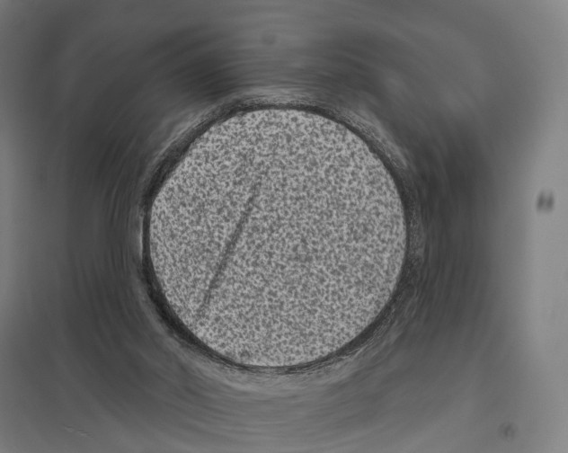 X0000097630014200803281111