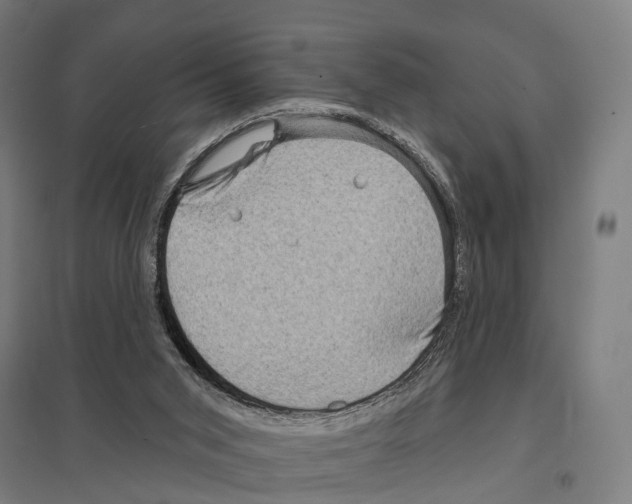 X0000097630015200803281111