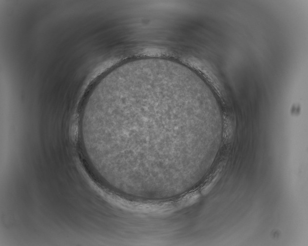 X0000097630016200803281111