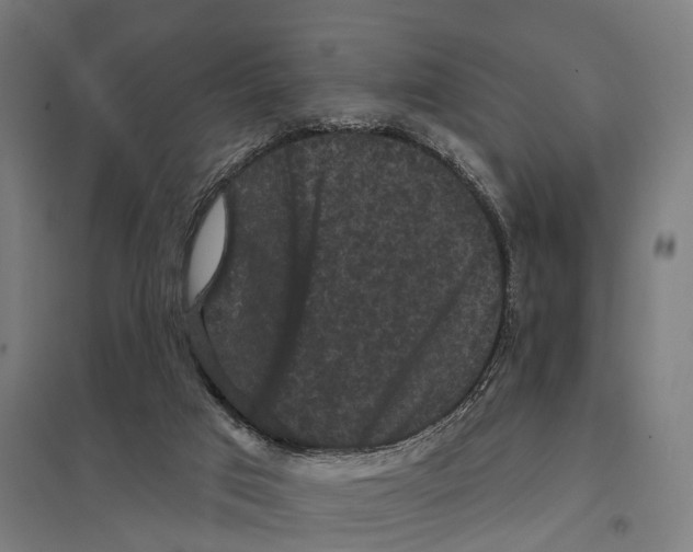 X0000097630017200803281111