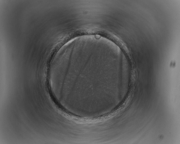X0000097630018200803281111