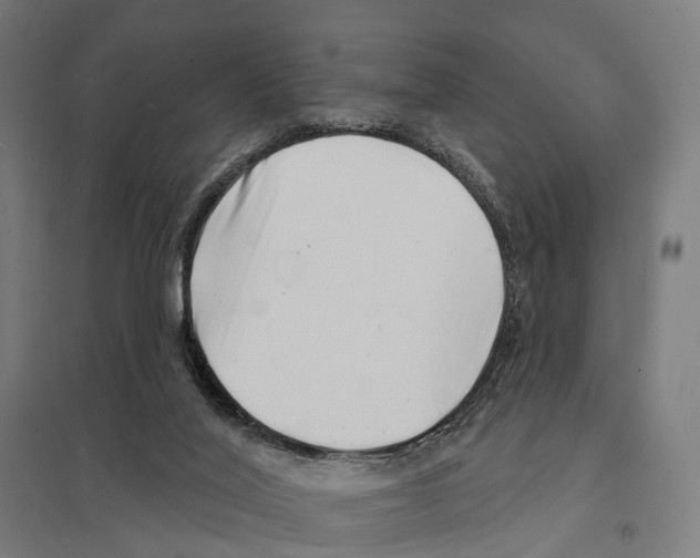 X0000097630020200803281111