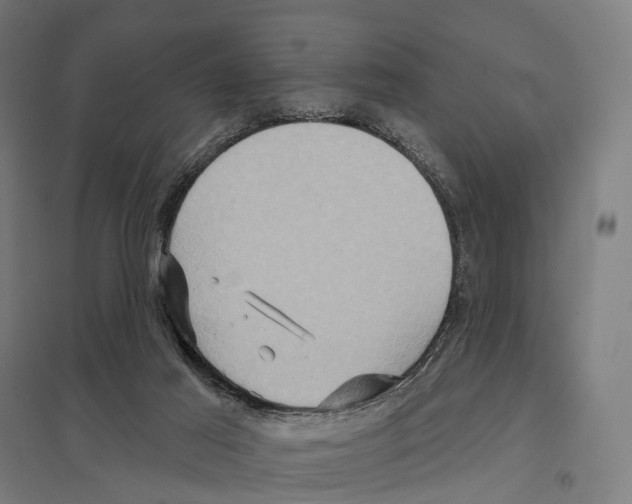 X0000097630021200803281111