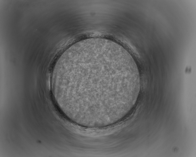 X0000097630022200803281111