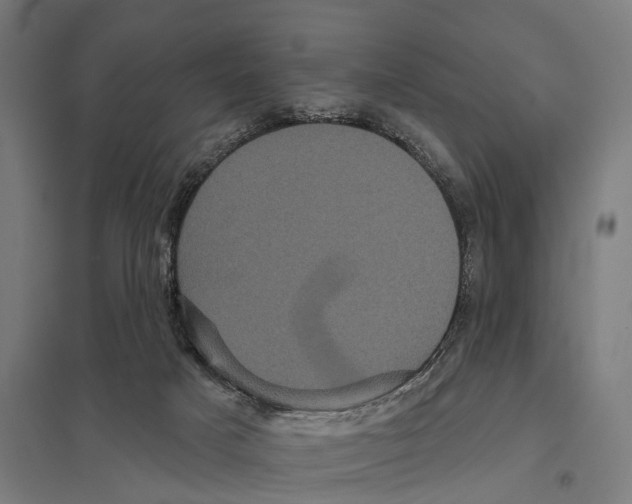 X0000097630025200803281111