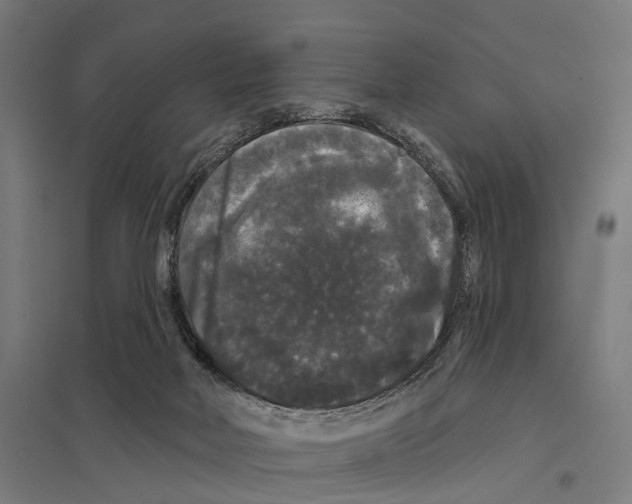 X0000097630026200803281111